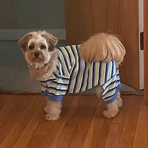 Meet your Posher, Sharon